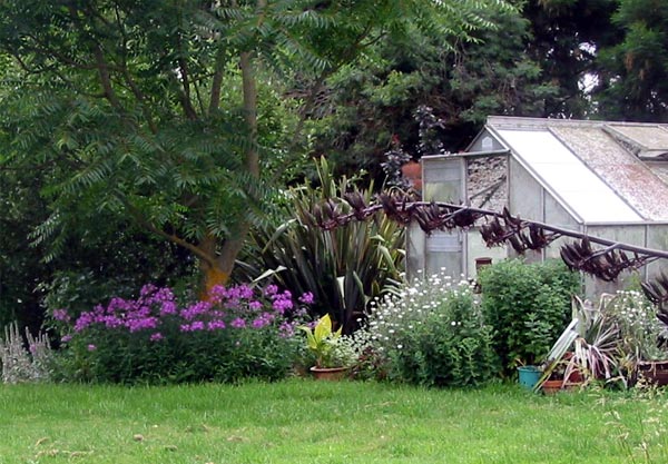 Roses and perennials enjoy this garden border too. Roses and perennials enjoy this garden border too.