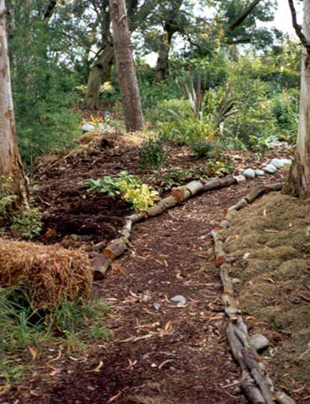 This garden is still under construction. This garden is still under construction.