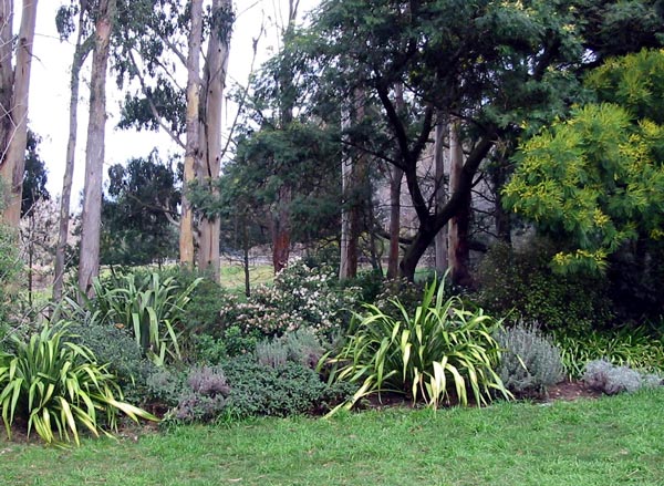 The gum trees and Wattles are in front of the boundary fence. The gum trees and Wattles are in front of the boundary fence.