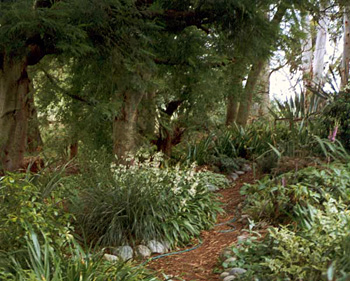 Edged with river stones. Edged with river stones.